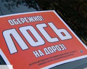 В столице автохамка устроила истерику активистам: показали видео