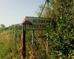 Скривавлену голову повісили на в&#039;їзді до села - фото