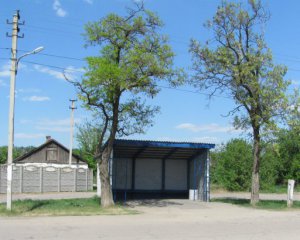 Під Києвом на зупинці грабіжник прострелив жінці голову