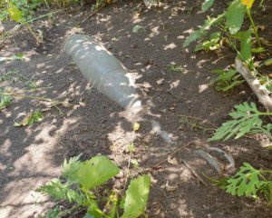 На пункті пропуску виявили нерозірвану міну