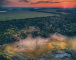 Показали схід сонця над затуманеними селами Полтавщини - фото
