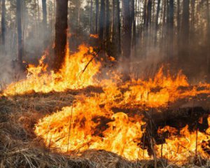 В Украине удерживается высокий уровень пожарной опасности