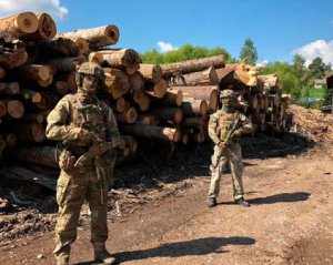 СБУ блокувала незаконну вирубку лісу