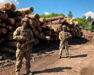 СБУ блокировала незаконную вырубку леса