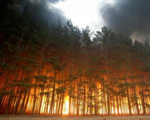 Экокатастрофа: Площадь горения лесов в Сибири равна площади Бельгии