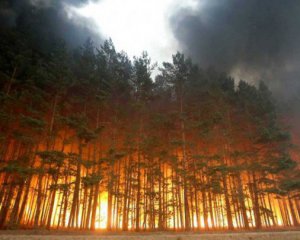 3 млн га лісу у вогні: повідомили вражаючі дані про пожежі в Росії