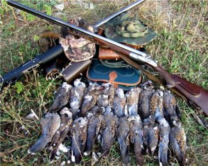 Сезон полювання масово відкривають у Полтавському та Чутівському районах