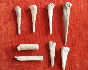 Знайшли доісторичну майстерню, де створювали кістяні інструменти