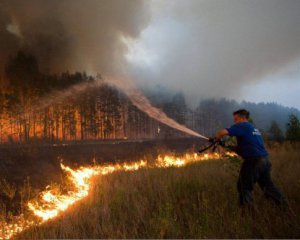 В Сибири потушили более 750 тыс. га леса
