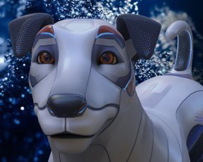 Украинский супер-пес научился становиться невидимым