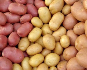 Картофельный кризис: почему не дешевеет популярный овощ