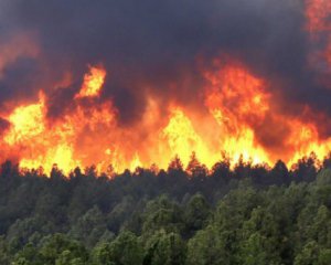 В 7 областях Украины огласили пожарную опасность