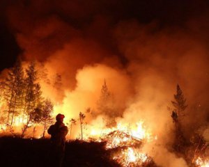 От лесных пожаров в Сибири пострадали более 10 тысяч животных