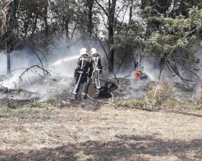 У Володарському районі загорілися чагарники (фото)