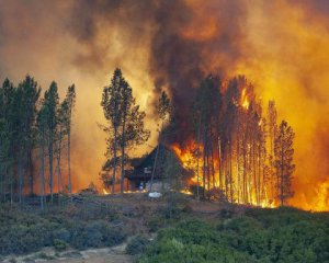 Вслед за Сибирью: сгорело 200 га крымского леса