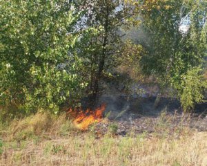 У Полтавському районі горів ліс