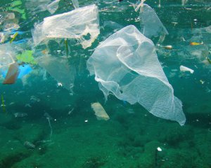 Человечество загрязнило 60% мирового океана - исследование