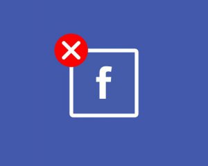 Facebook заблокировал украинское патриотическое общество