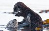Все как у людей: показали трогательные фото матерей животного мира со своими малышами