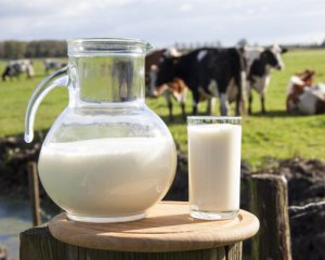 Чому молочні продукти стрімко дорожчають