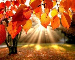 Синоптики дали утешительный прогноз на неделю