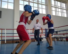 Всеукраїнський турнір із боксу проходив у Іллінцях