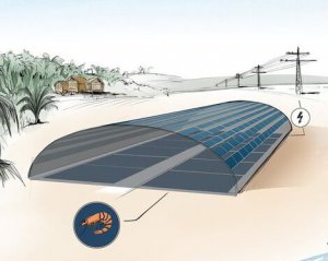 Електрику хочуть видобувати на рибних фермах