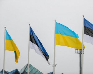 Эстонский министр хочет отменить безвиз для украинцев