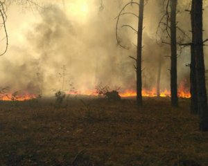 Неподалік Чорнобиля загорівся ліс