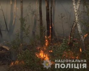 Страшна жіноча помста: встановили причину пожежі в Чорнобильській зоні