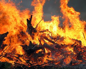 Гасили сухостій, а знайшли мертву жінку