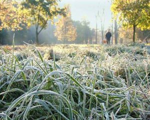 Перший сніг та заморозки - синоптики дали прогноз на тиждень