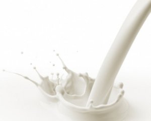 В древности люди не переваривали молоко, но употребляли его
