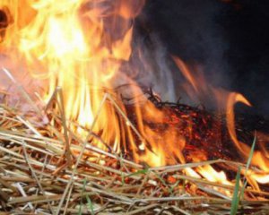 5-летний ребенок сгорел в стоге сена