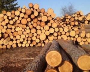 Отменят запрет на вывоз леса-кругляка из Украины
