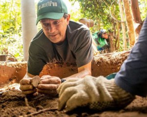 У джунглях знайшли давнє поселення