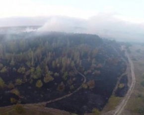 Пожежу в лісі гасили літаками — фото