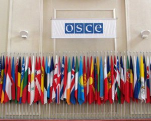 Украинские послы устроили демарш в сессионном зале ОБСЕ