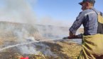 Ліс під Новими Санжарами гасили два літаки
