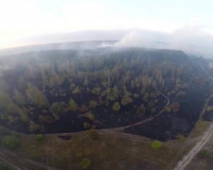 Учора в Полтавському районі гасили вогонь у двох лісах