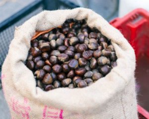 Українці зароблятимуть на каштанах