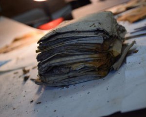 В лесу нашли неизвестные документы УПА