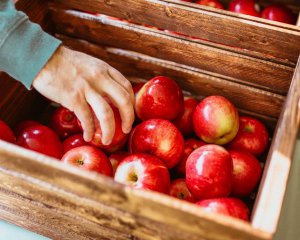 Очередной рекорд: Украина скупает яблоки за границей