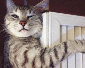 Вмикають опалення, коли надворі справжнє літо