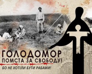 Депутат дав негативний прогноз щодо визнання Німеччиною Голодомору геноцидом