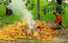 "Сдать" соседа полиции: как заставить людей не сжигать опавшие листья