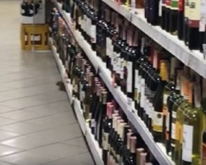 В столичном супермаркете заметили семью крыс