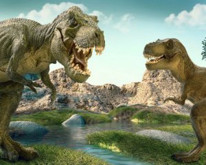 Ученые описали восстановление жизни на Земле после исчезновения динозавров