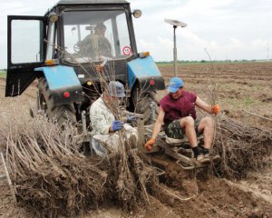 Українські науковці створили унікальний пристрій для саду