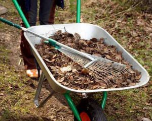 Как быстро сделать компост из опавших листьев